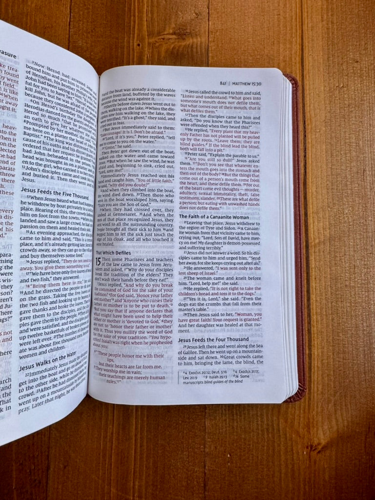 NIV THINLINE BIBLE