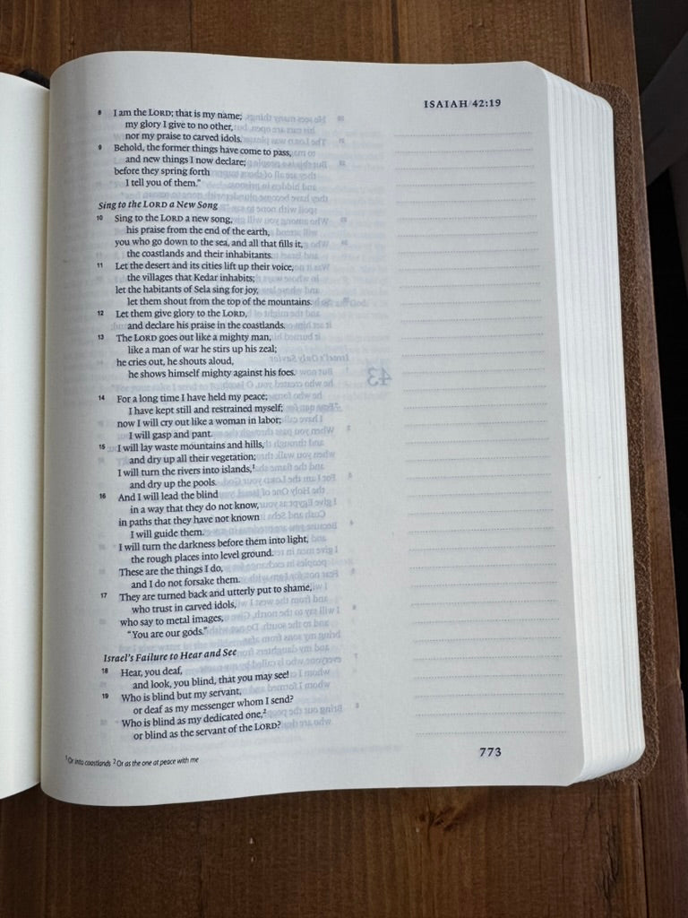 ESV SINGLE COLUMN JOURNALING BIBLE