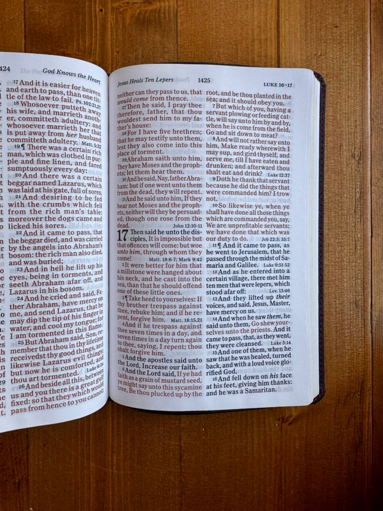 KJV LARGE PRINT PERSONAL SIZE REFERENCE BIBLE